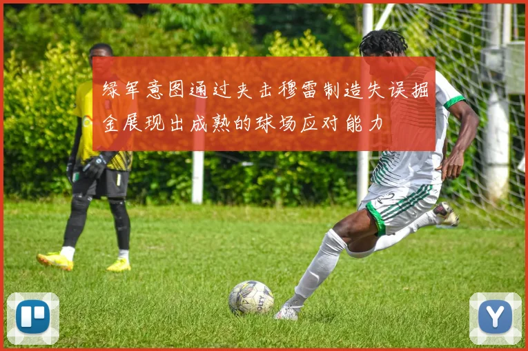 绿军意图通过夹击穆雷制造失误掘金展现出成熟的球场应对能力