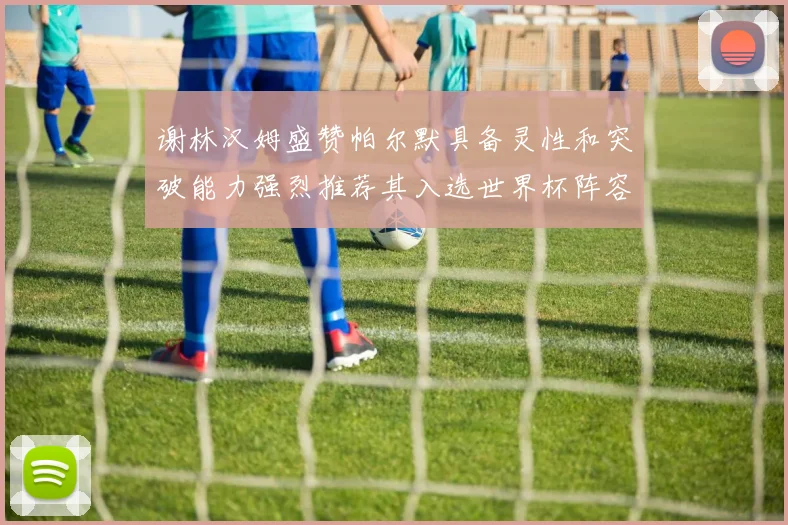 谢林汉姆盛赞帕尔默具备灵性和突破能力强烈推荐其入选世界杯阵容